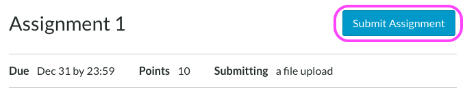 A Canvas Assignment page displaying the Assignment title on the left, a ‘Submit Assignment’ link on the right, a due date, points allocated and submission type.