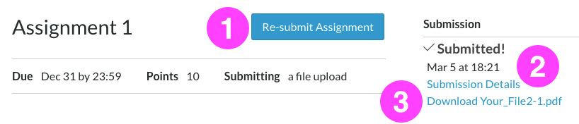 A Canvas Assignment page as it displays once you’ve successfully submitted an assignment. There is a notice on the right side of the screen that confirms “Submitted!” followed by links to your submission details and the submitted file. There is a link to Re-submit Assignment.